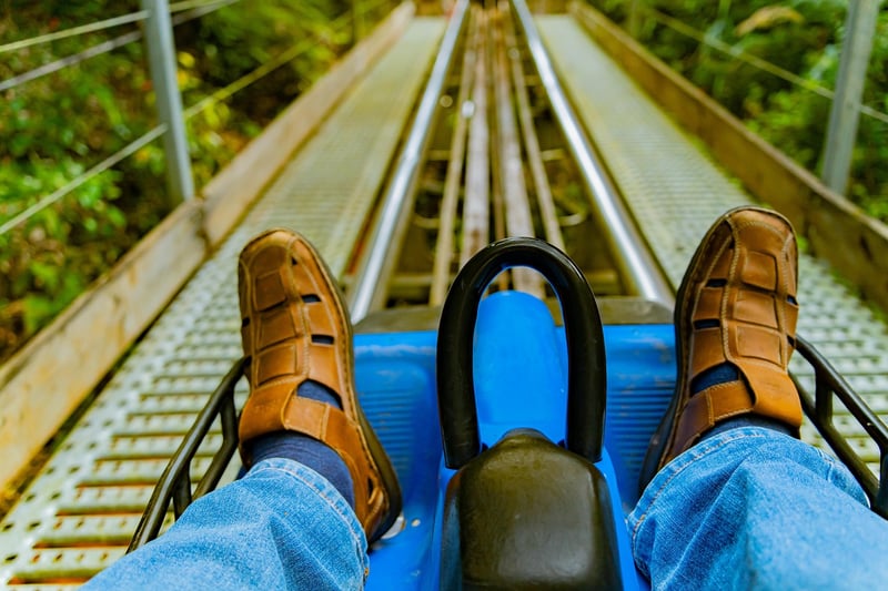 Roller Coaster
